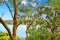 Property photo of 15 Robvic Avenue Kangaroo Point NSW 2224