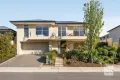 Property photo of 11 Holly Hock Court Craigburn Farm SA 5051