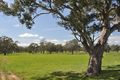 Property photo of 532 Midland Link Highway Maindample VIC 3723