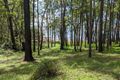 Property photo of 49 Point Circuit North Arm Cove NSW 2324