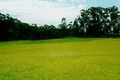 Property photo of 3120 Wingham Road Comboyne NSW 2429