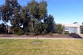 Property photo of 5 Sunset Avenue Echuca VIC 3564