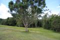 Property photo of 10 Topaz Road Malanda QLD 4885