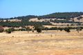 Property photo of 215 Mitchell Crescent Boddington WA 6390
