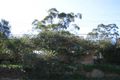 Property photo of 345 Eastern Valley Way Castle Cove NSW 2069