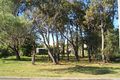 Property photo of 91 Arcadia Avenue Woorim QLD 4507
