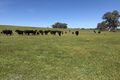 Property photo of 698 Little Billabong Road Little Billabong NSW 2644
