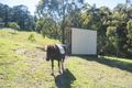 Property photo of 42 Osborne Street Bundanoon NSW 2578