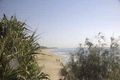 Property photo of 28 Buderim Street Battery Hill QLD 4551