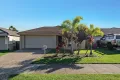Property photo of 14 Collingrove Circuit Pimpama QLD 4209