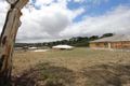 Property photo of 137 Daylesford Road Brown Hill VIC 3350