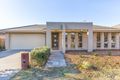 Property photo of 14 Allnutt Crescent Forde ACT 2914