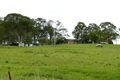 Property photo of 5256 The Bucketts Way Burrell Creek NSW 2429