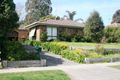 Property photo of 3 Blake Court Traralgon VIC 3844