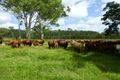 Property photo of LOT 61 Dingles Road Moolboolaman QLD 4671