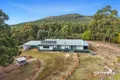 Property photo of 24 Radnor Road Port Arthur TAS 7182