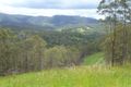 Property photo of 1363 Hickeys Creek Road Millbank NSW 2440