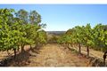 Property photo of 168 George Street West Swan WA 6055