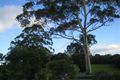 Property photo of 931 Kidaman Creek Road Curramore QLD 4552