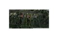 Property photo of 5 Don Street Kurrajong Heights NSW 2758