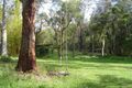 Property photo of 125 Hubbards Road South Mayers Flat NSW 2423