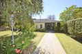Property photo of 59 Chaffey Street Merbein VIC 3505