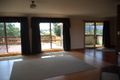 Property photo of 3 Grenda Place Scottsdale TAS 7260