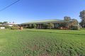 Property photo of 41-43 Nugget Street Kerang VIC 3579