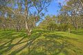 Property photo of 41 Tooliroopah Road Teesdale VIC 3328