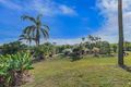 Property photo of 1743 Conway Road Conway QLD 4800