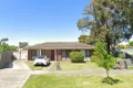 Property photo of 19 Carlisle Street Craigieburn VIC 3064
