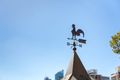 Property photo of 3 Little Bloomfield Street Surry Hills NSW 2010