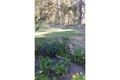 Property photo of 13 Ryan Crescent Woolgoolga NSW 2456