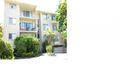 Property photo of 3/192 Ferny Avenue Surfers Paradise QLD 4217