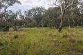 Property photo of 171 Urila Road Burra NSW 2620