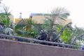 Property photo of 3/18 Munro Street McMahons Point NSW 2060