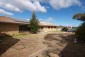 Property photo of 521 Montague Road Modbury SA 5092
