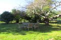Property photo of 380 Saviges Road Thorpdale VIC 3835