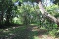 Property photo of 440 Grasstree Road Sarina QLD 4737