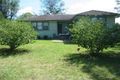 Property photo of 11 Raymond Avenue Campbelltown NSW 2560