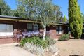 Property photo of 43 West Terrace Clare SA 5453