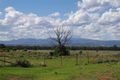 Property photo of 17062 Kamilaroi Highway Turrawan NSW 2390