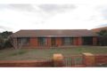 Property photo of 58 Locke Street Raglan NSW 2795