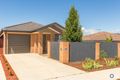 Property photo of 31 Audrey Cahn Street Macgregor ACT 2615