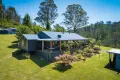 Property photo of 2903 Mount Darragh Road Wyndham NSW 2550