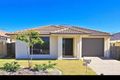 Property photo of 51 Shimao Crescent North Lakes QLD 4509