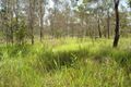 Property photo of 709 Matchbox Road Deepwater QLD 4674
