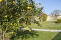 Property photo of 9 Martin Circuit Tea Gardens NSW 2324