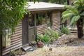 Property photo of 12 Olive Grove Tecoma VIC 3160