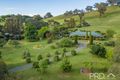Property photo of 447 Lacmalac Road Lacmalac NSW 2720